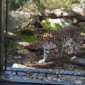 Meet your Posher, Georgette